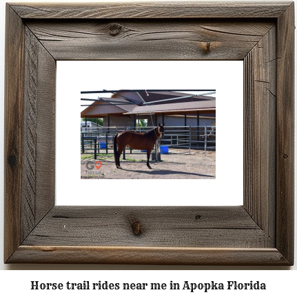 horse trail rides near me in Apopka, Florida